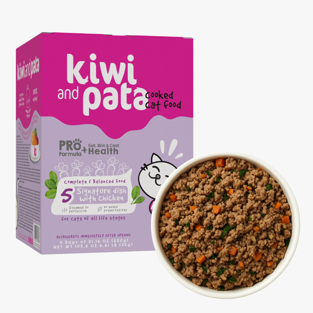 Cooked Cat Food - Signature Dish with Chicken